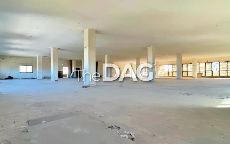 Spacious 800 sqm Office for Rent Dora