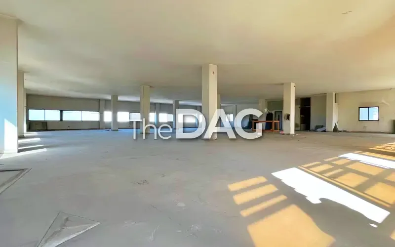 Spacious 800 sqm Office for Rent Dora — photo 3