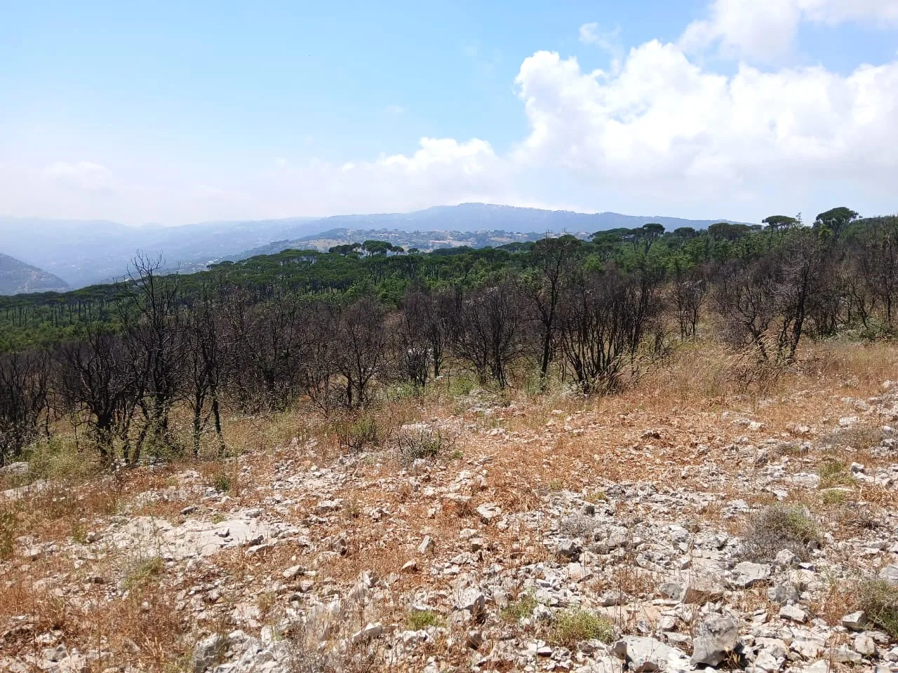 Land for Sale in Mtein — الصورة 4