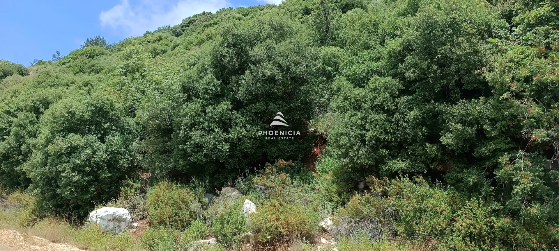 Land for Sale in Blat — الصورة 6