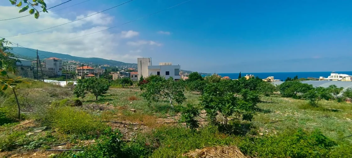 Land for Rent in Batroun, Lebanon