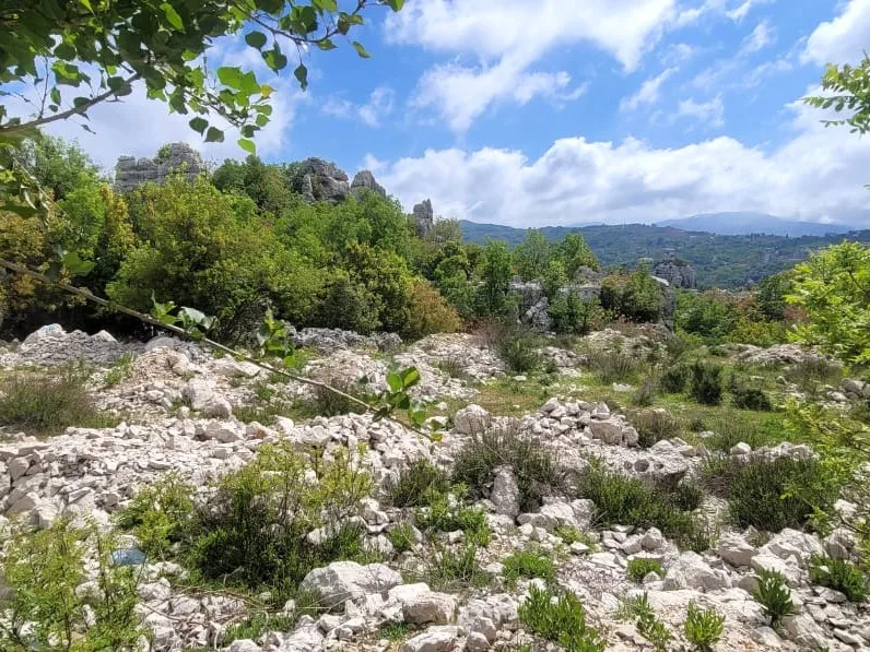 Land for Sale in Faitroun — الصورة 2