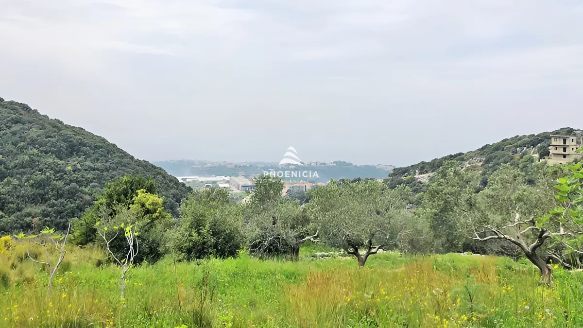 Land for Sale in Gharzouz — الصورة 3
