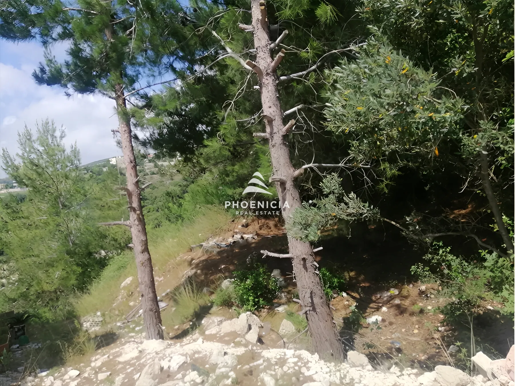 Land for Sale in Blat — الصورة 2