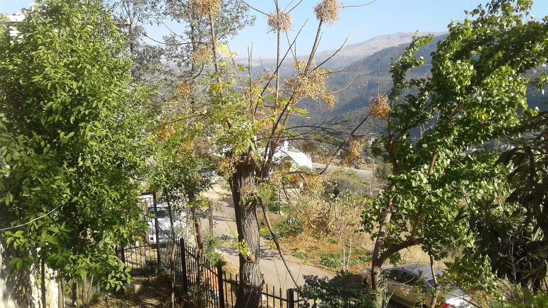 Villa for Sale in Baabdat, Lebanon — الصورة 5