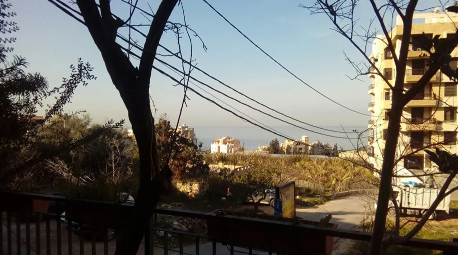 Duplex for Sale in Blat, Lebanon — الصورة 3