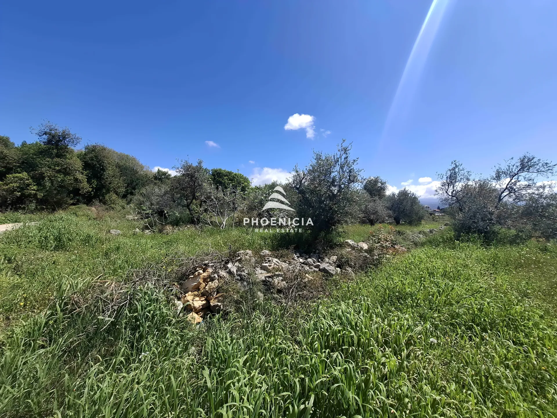Land for Sale in Monsef — الصورة 4