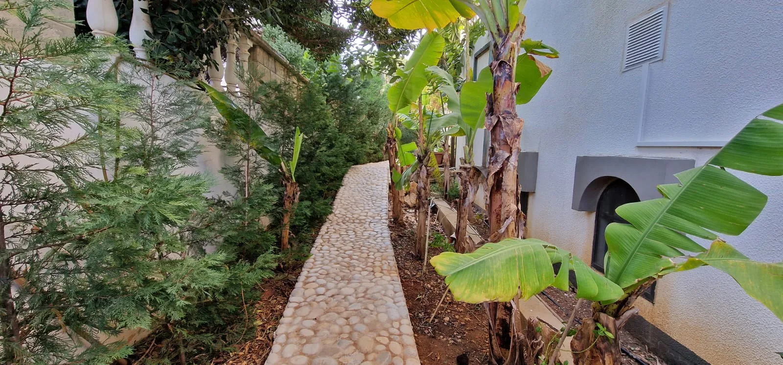 Villa for Rent in Batroun, Lebanon — الصورة 2
