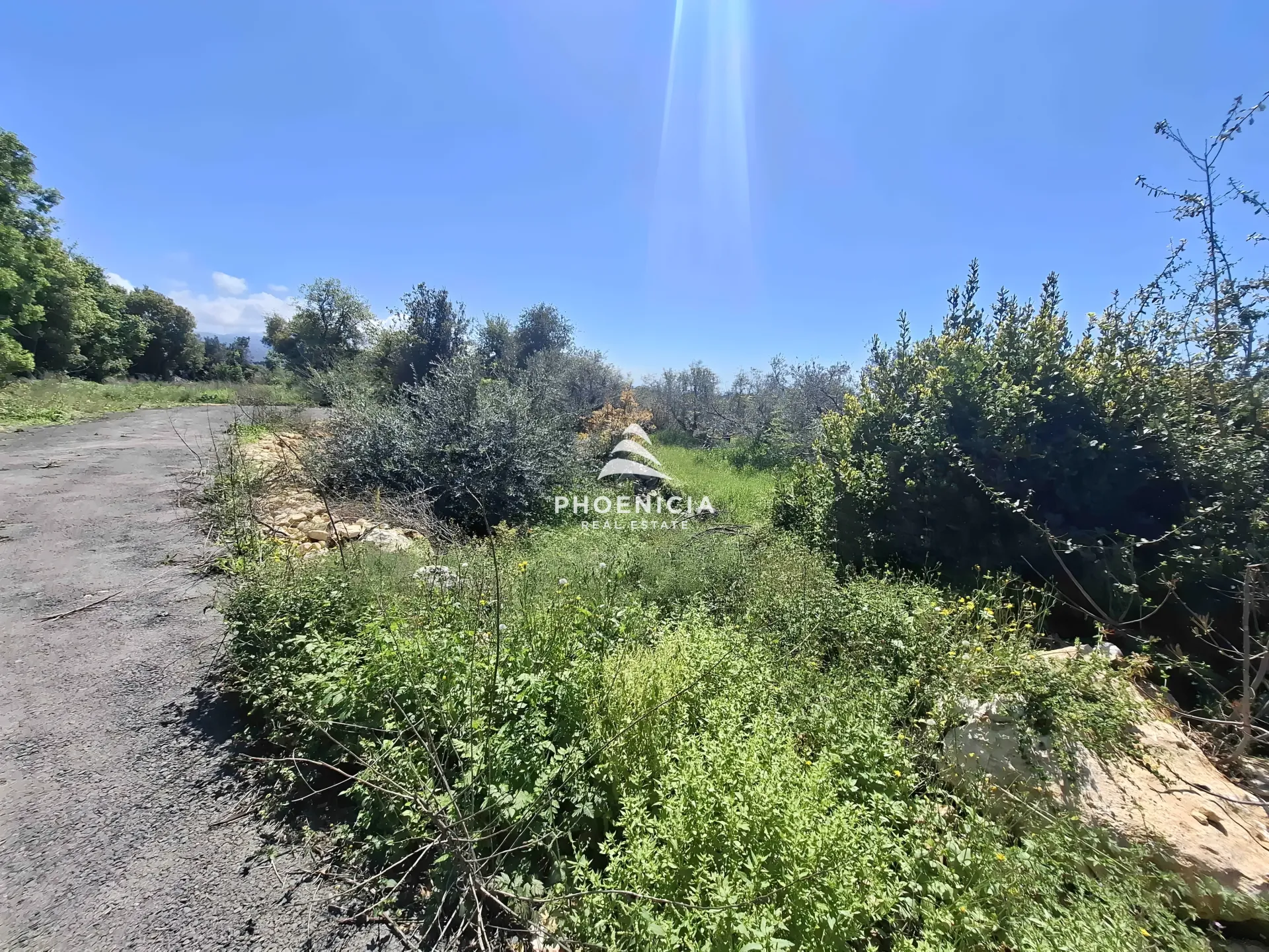 Land for Sale in Monsef — الصورة 11