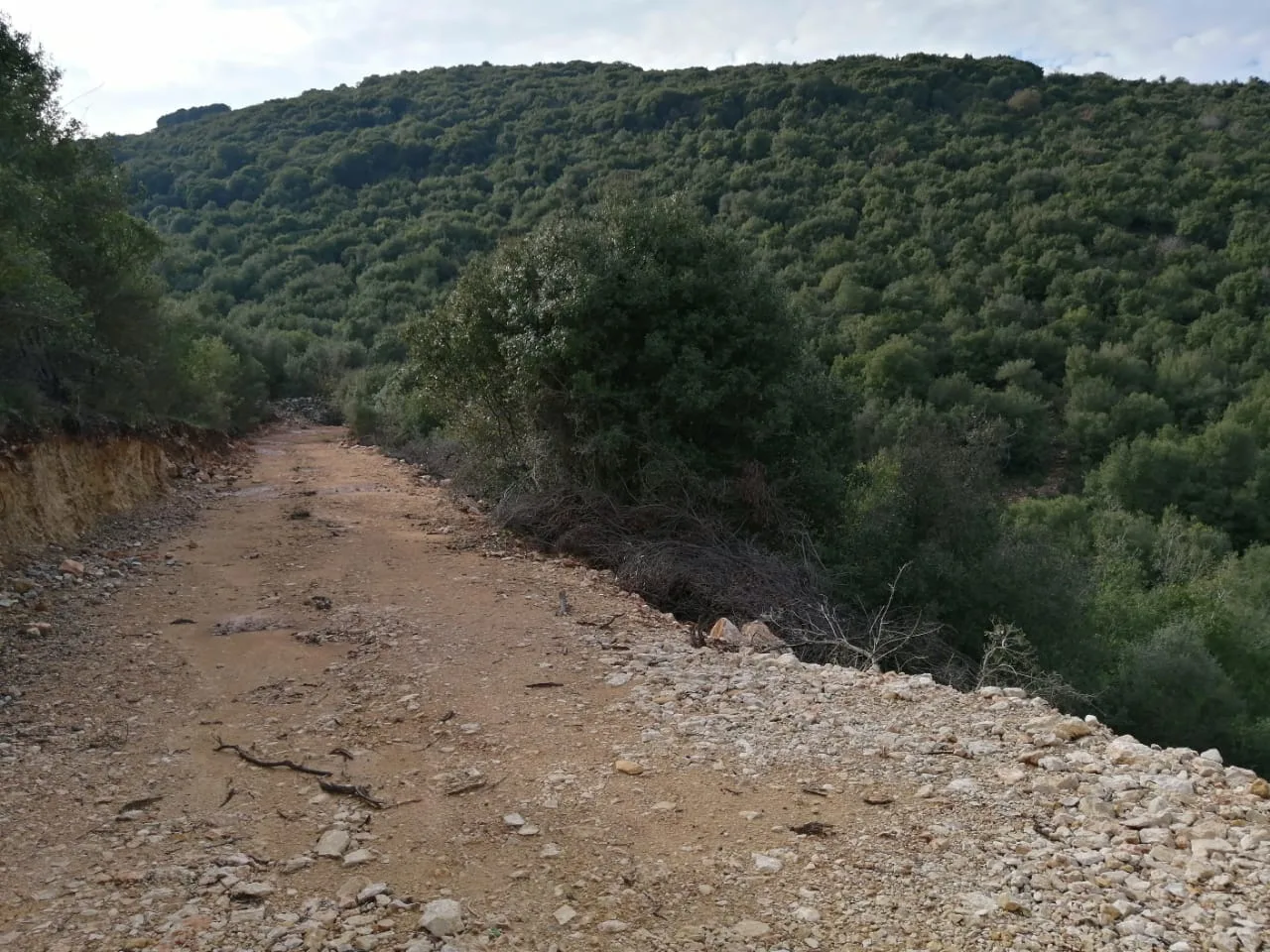 Land for Sale in Bejdarfil — الصورة 4