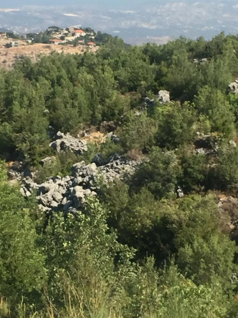 Land for Sale in Jaj, Lebanon — photo 1