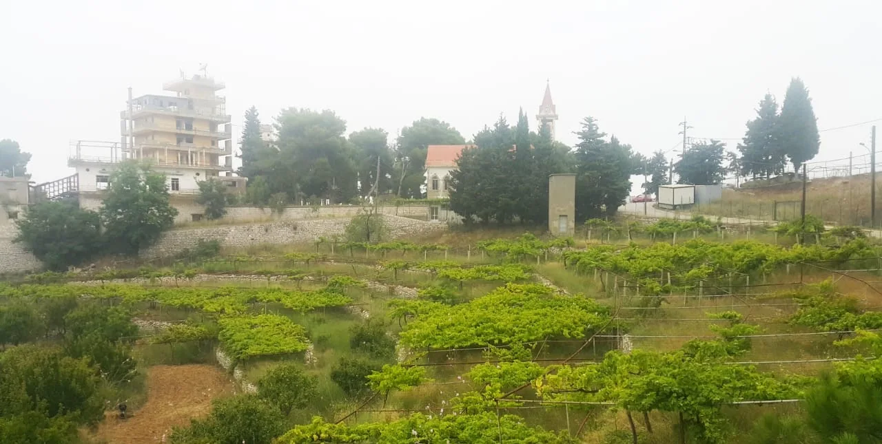 Land for Sale in Bikfaiya, Lebanon — الصورة 4