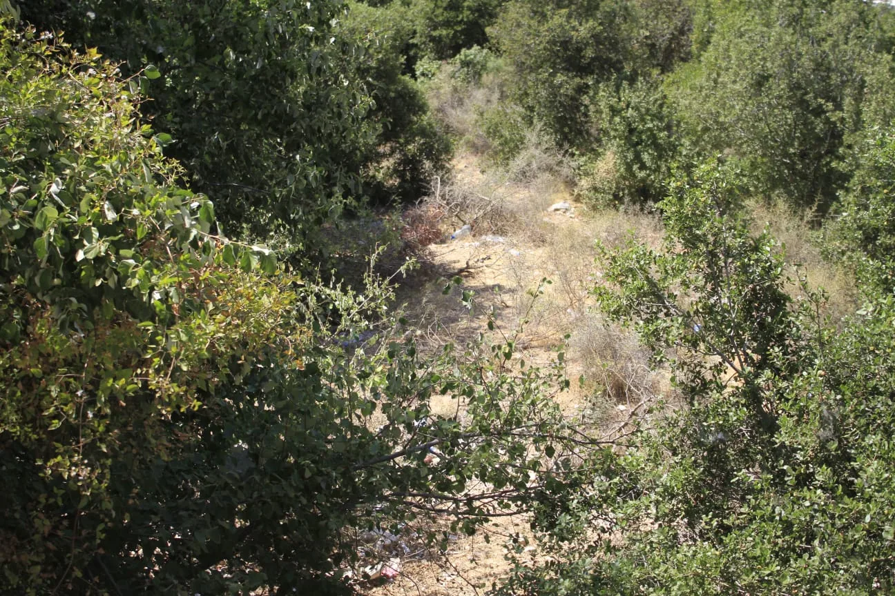 Land for Sale in Bikfaiya, Lebanon — الصورة 10