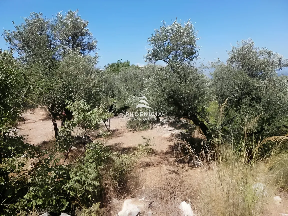 Land for Sale in Monsef — الصورة 17