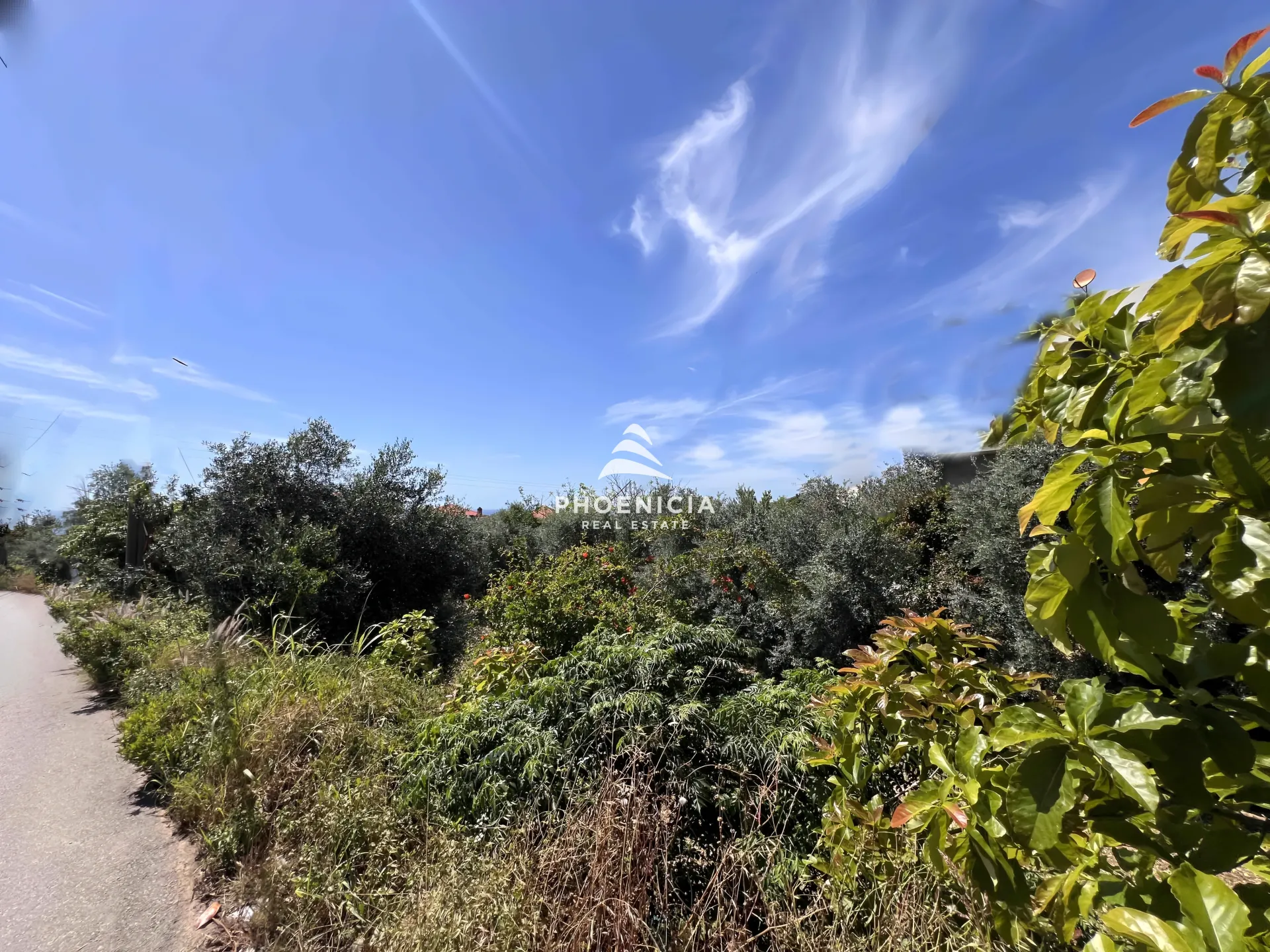 Land for Sale in Batroun — الصورة 3