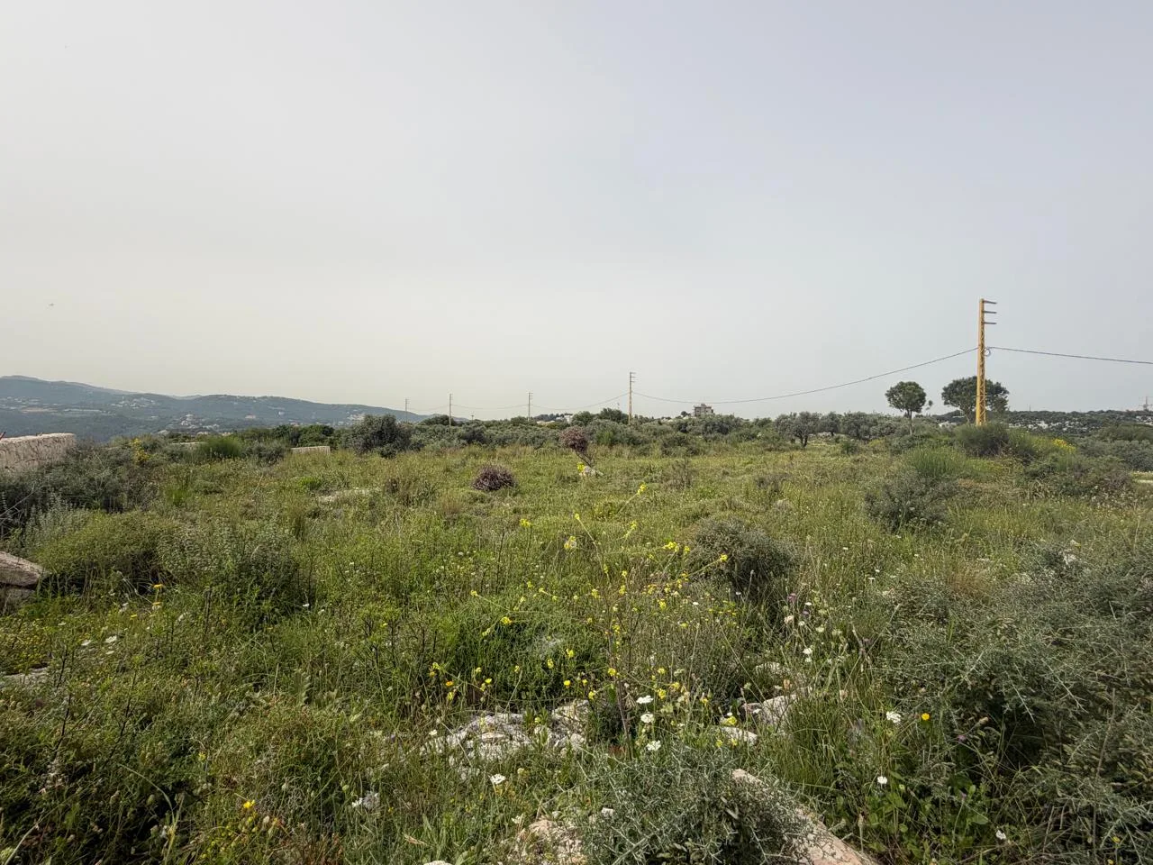 Land for Sale in Batroun — الصورة 3