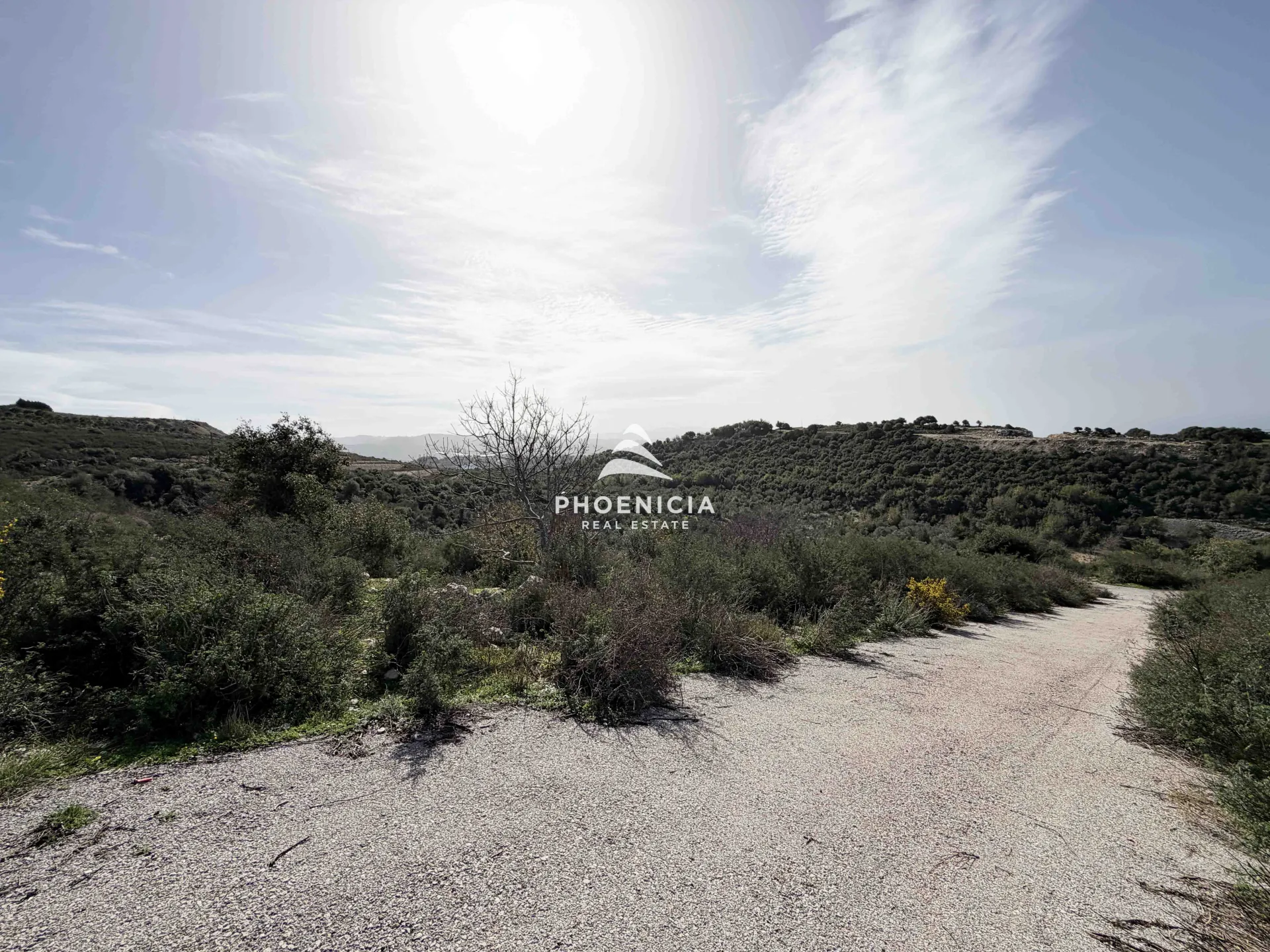 Land for Sale in Gharzouz — الصورة 7