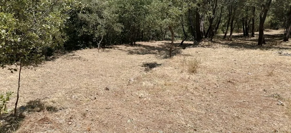 Land for Sale in Bzebdine, Lebanon — الصورة 10