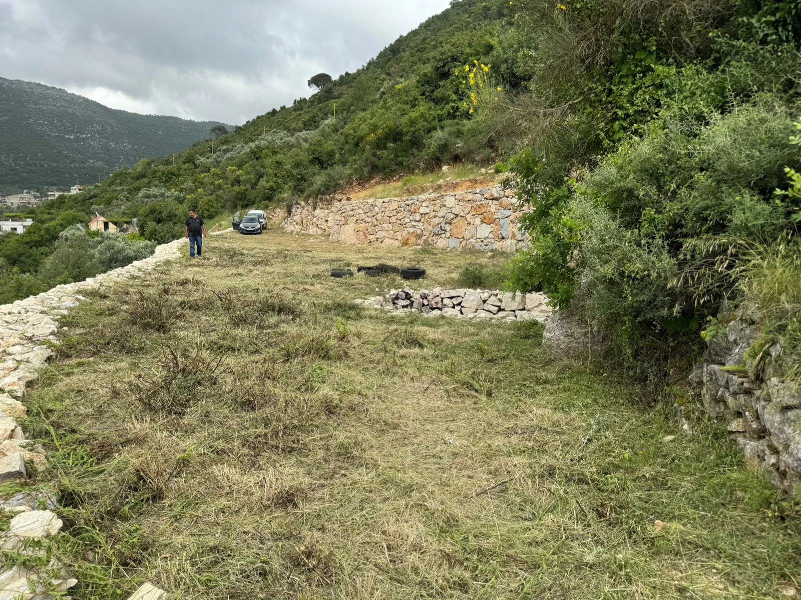 Land for Sale in Haqel, Lebanon — الصورة 5