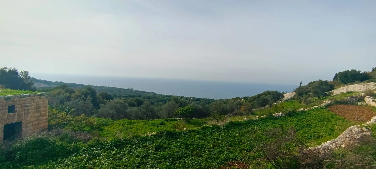 Land for Sale in Berbara , Lebanon