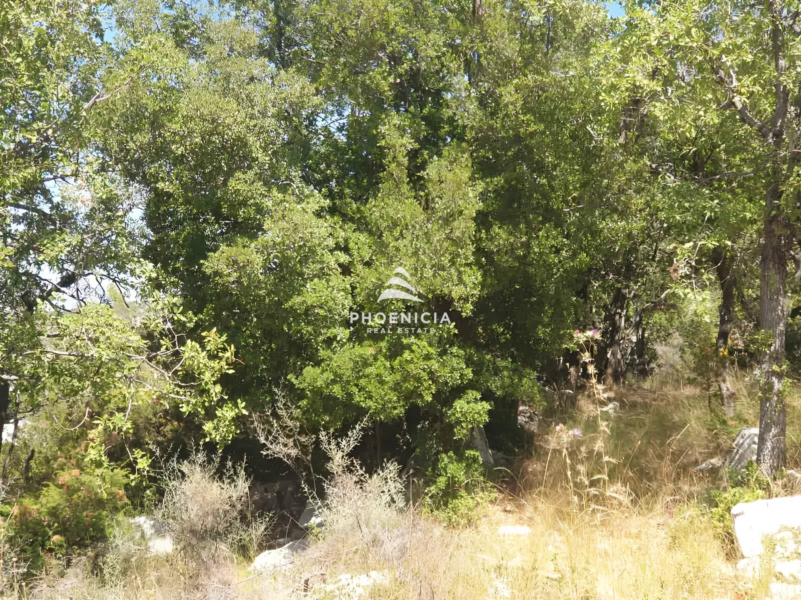 Land for Sale in Mechmech — الصورة 3