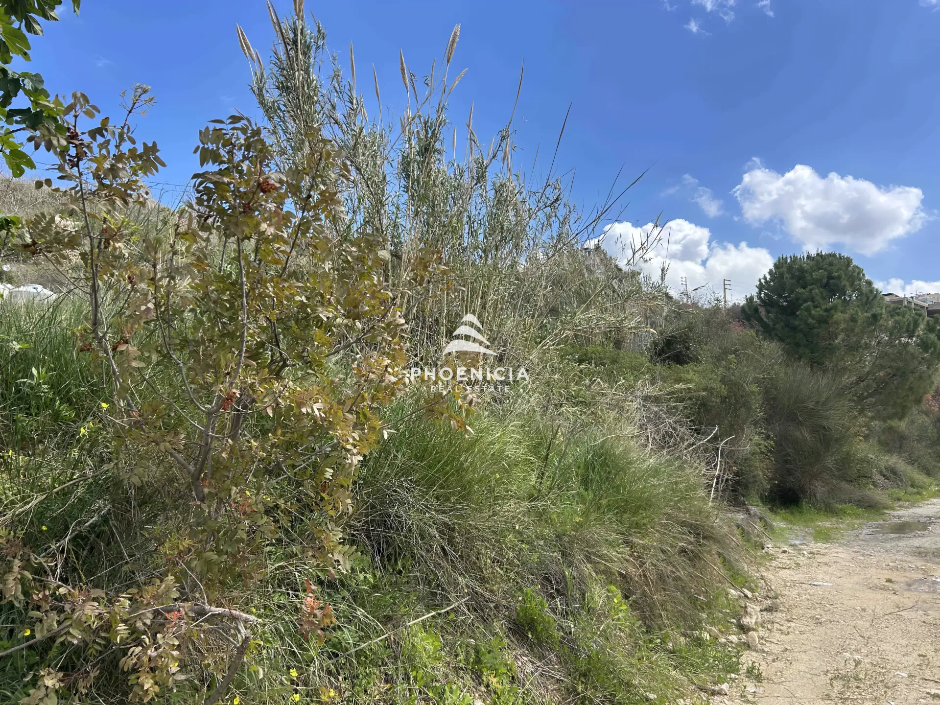 Land for Sale in Habboub — الصورة 4