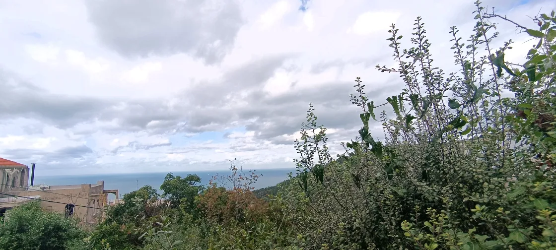 Land for Sale in Ain El Rihane, Lebanon
