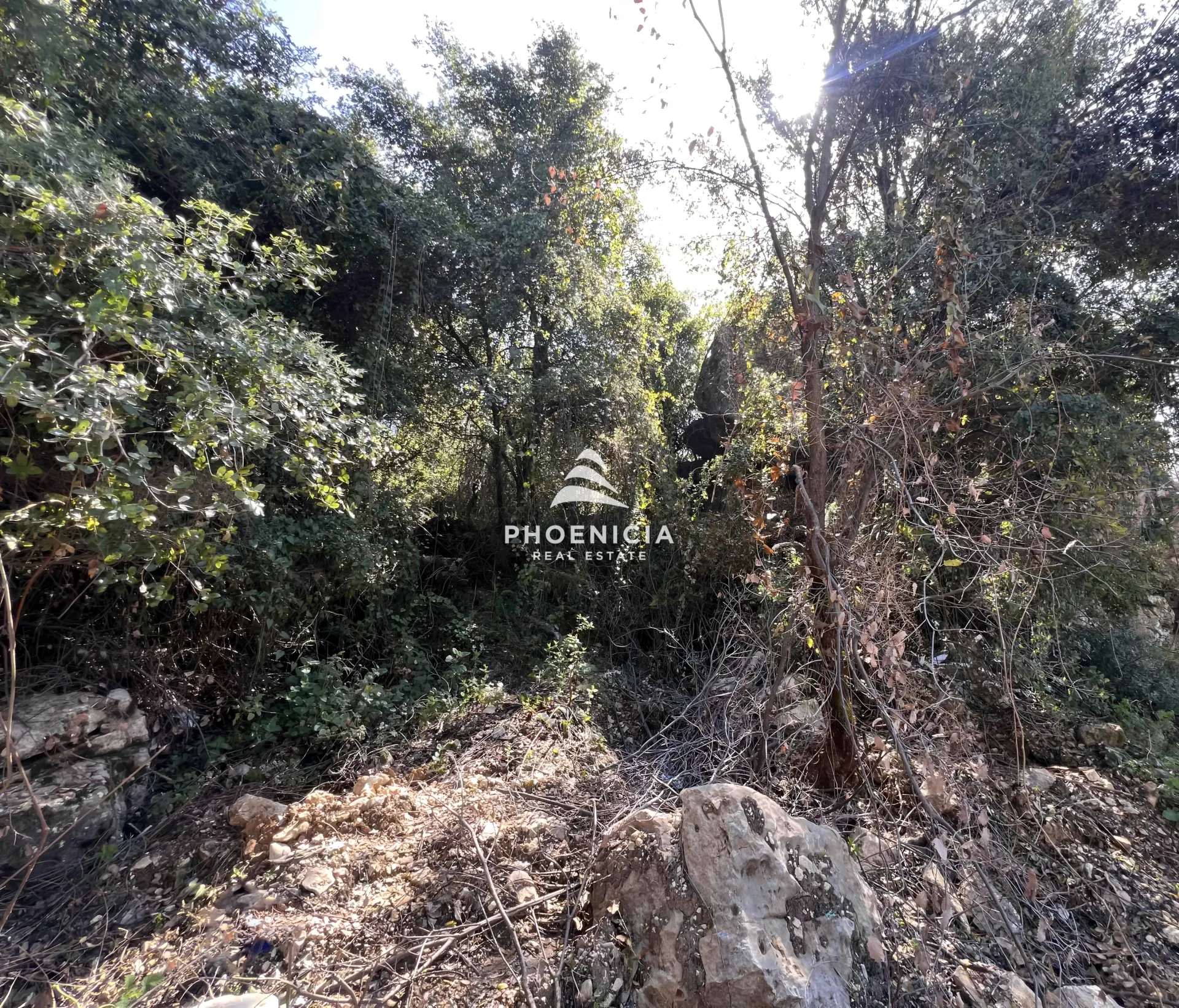 Land for Sale in Lehfed — الصورة 9