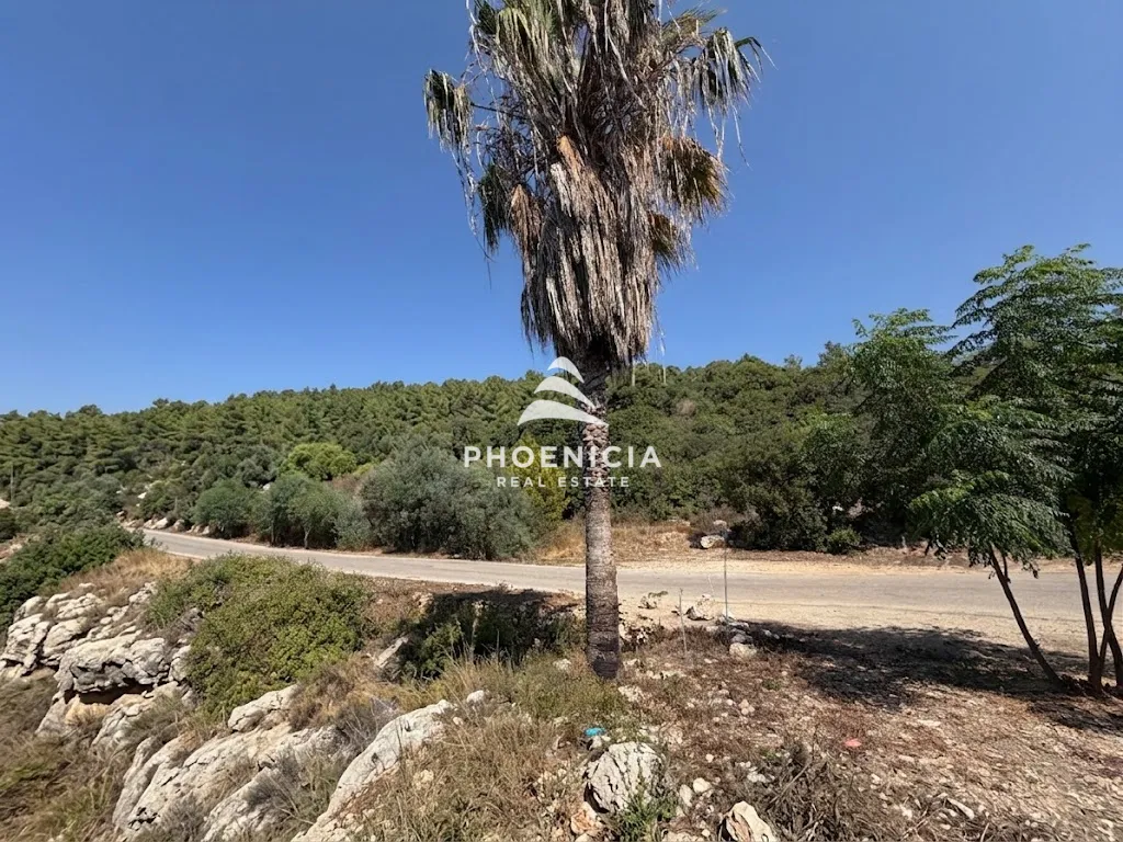 Residential Land for sale in Adma w Dafnah, Lebanon — الصورة 6
