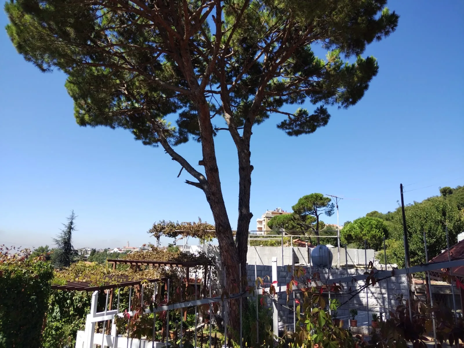 Villa for Sale in Ajaltoun, Lebanon