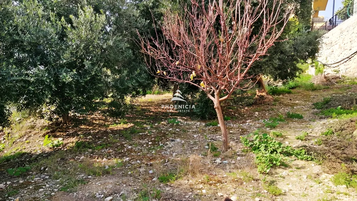 Land for Sale in Blat — الصورة 6