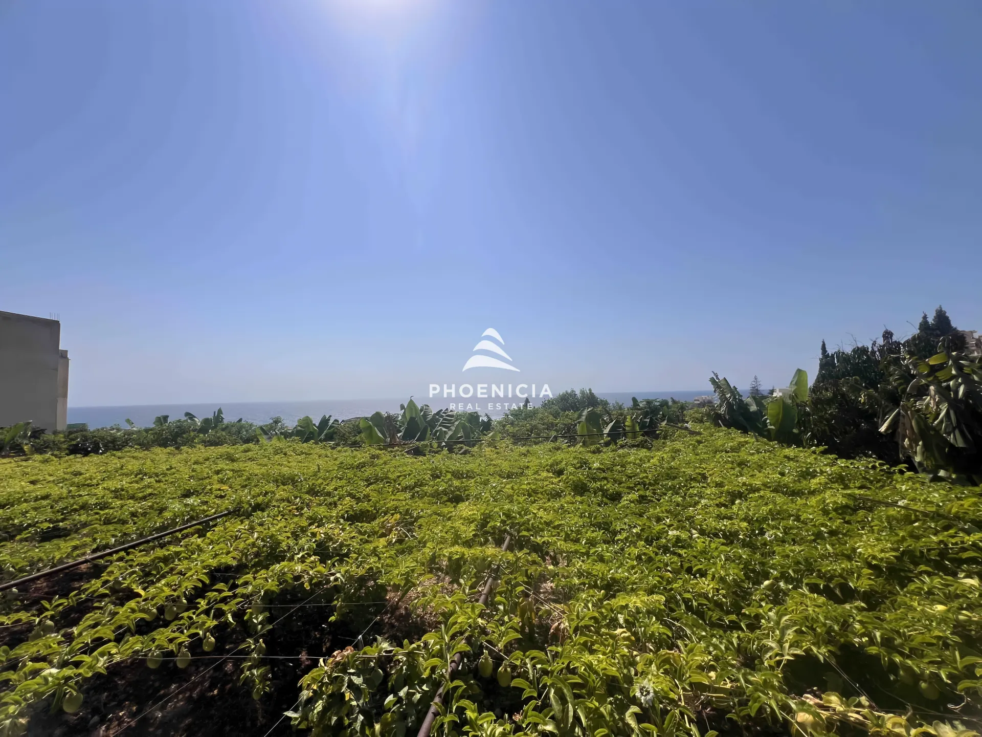 Land for Sale in Halat — الصورة 4