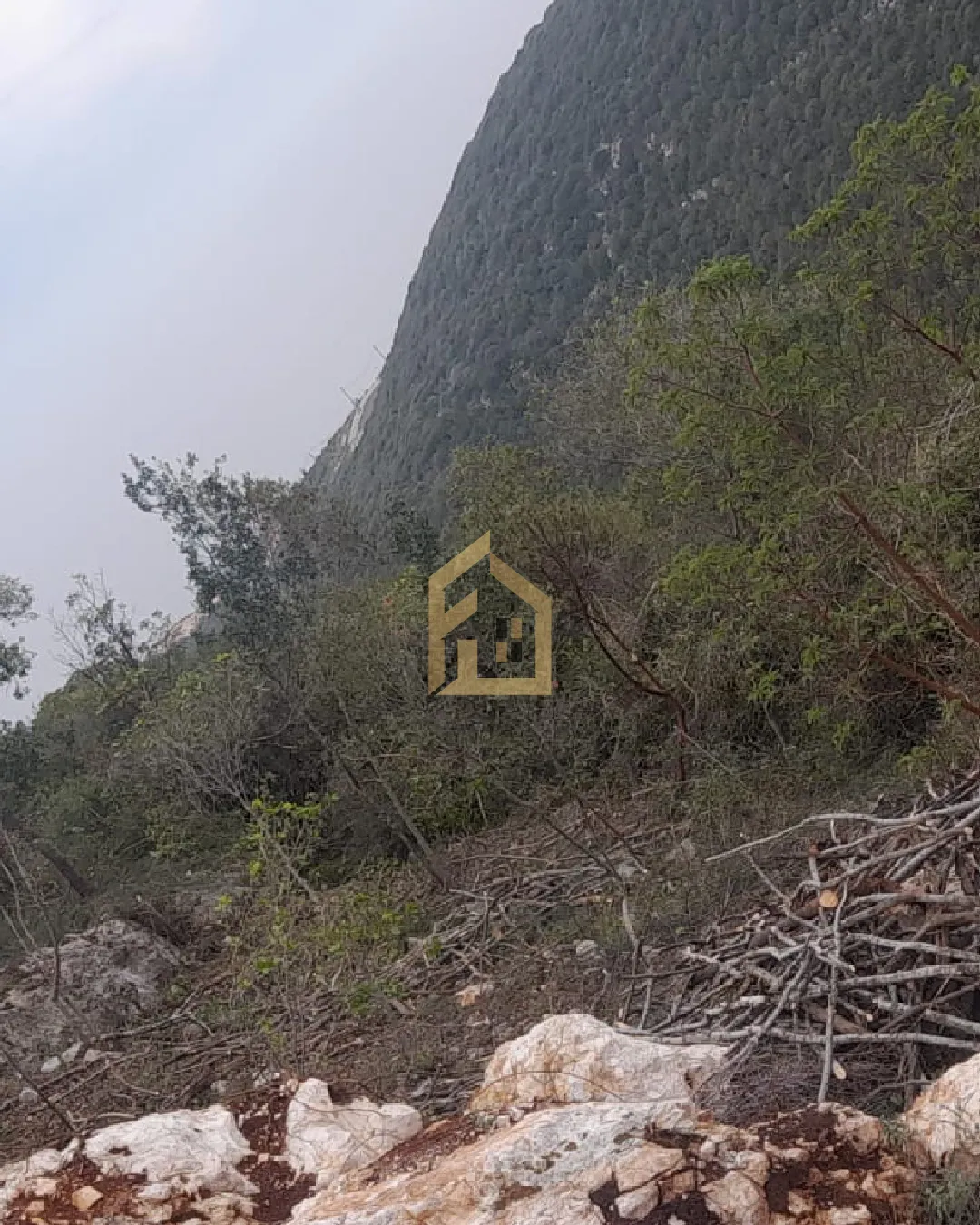 Land for Sale in Batroun — photo 2