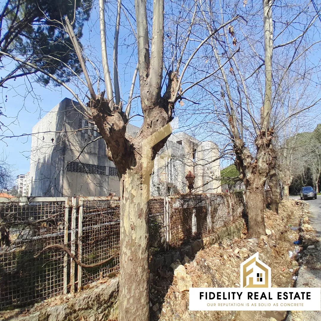Villa for Sale in Aley — photo 3