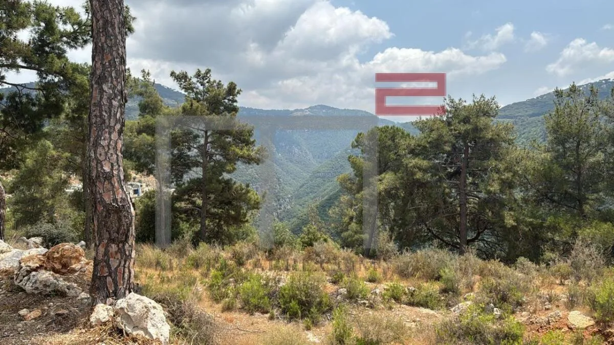 Land for Sale in Monte Verde