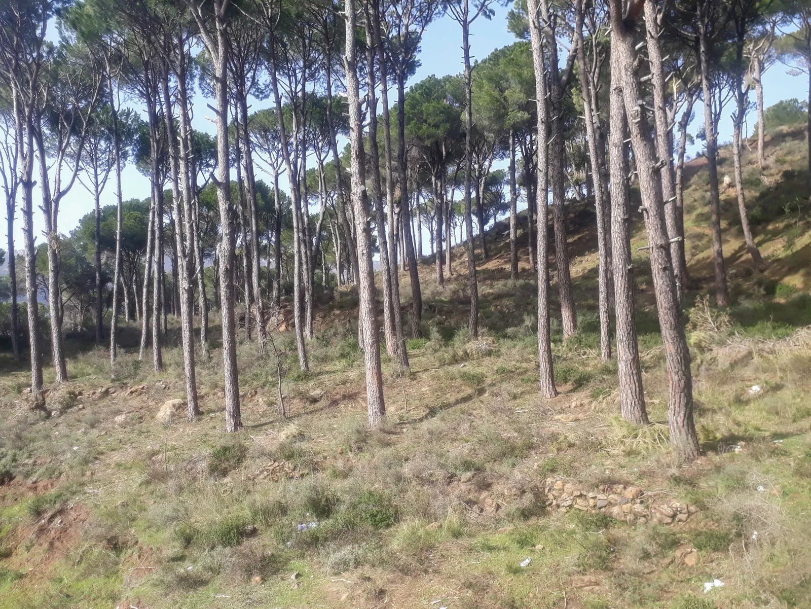 Land in Mtein, Metn