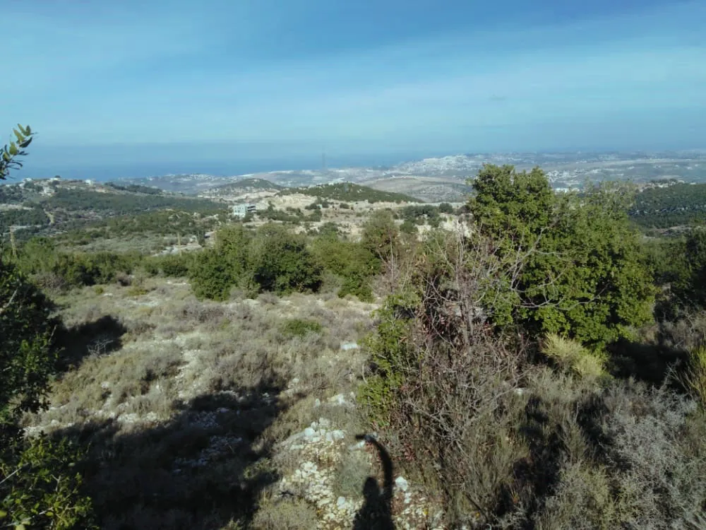 Prime Location Land in Asia, Batroun