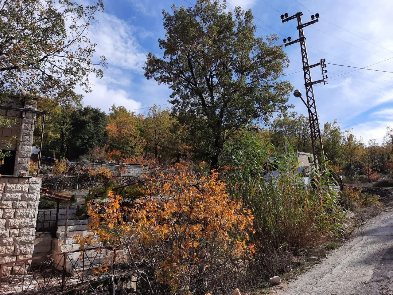 Prime Location Land in Jezzine, Lebanon — الصورة 2