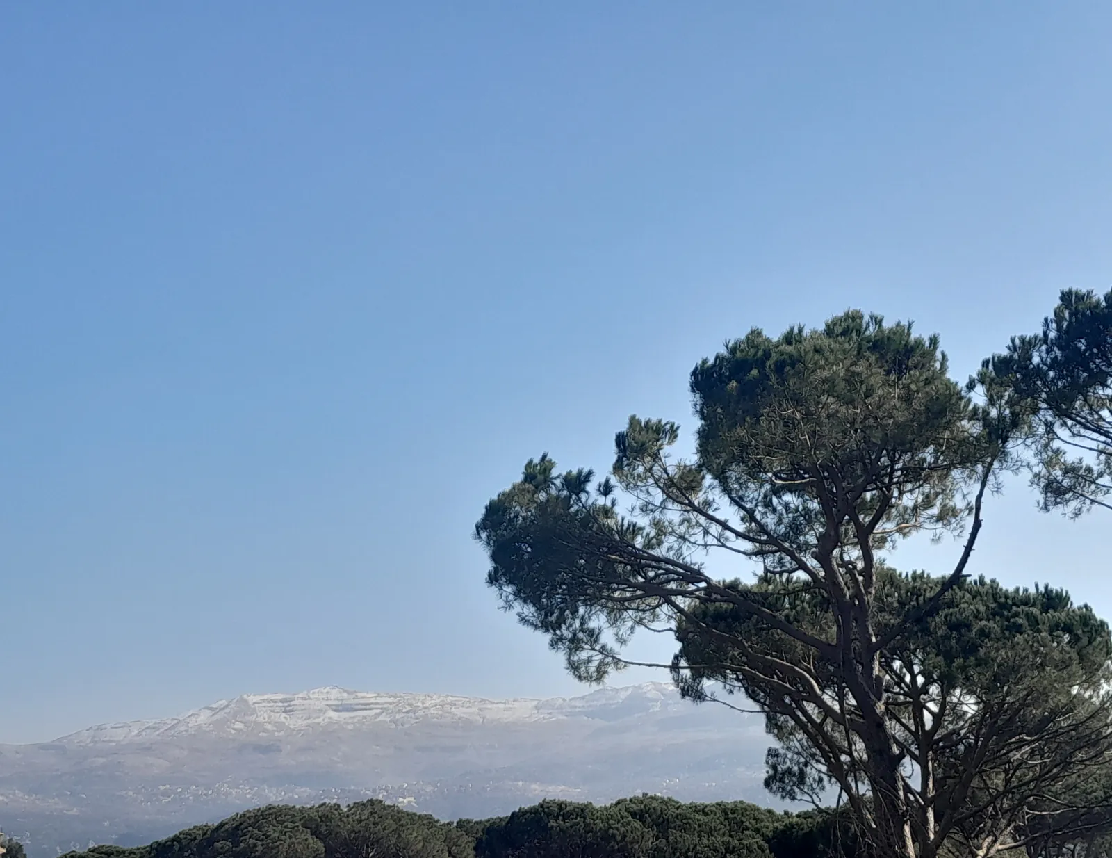 Orchard Land in Douar (Apple, Grapes and Cherry), Metn — الصورة 1