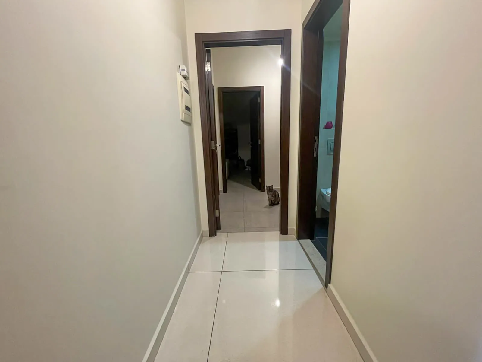 New Apartment for Rent in Dik El Mehdi, Metn — الصورة 4