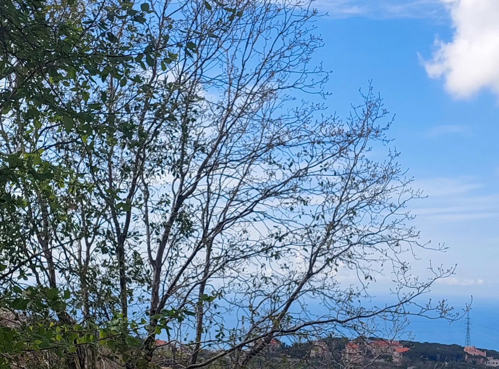 Land in Ain Alak, Metn with Sea View — الصورة 1
