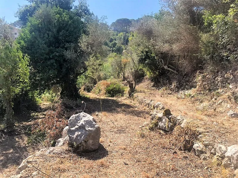 Land in Zandouka, Mount Lebanon — photo 1
