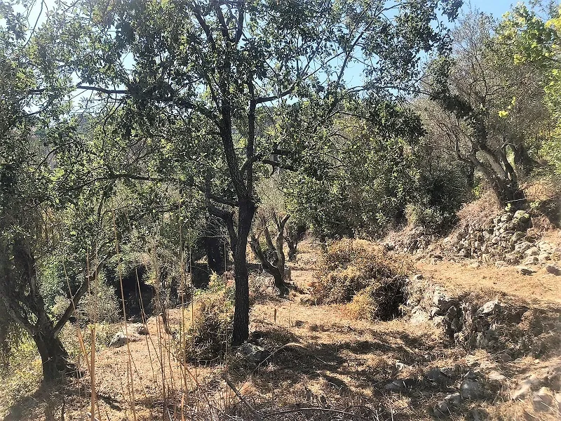 Land in Zandouka, Mount Lebanon — photo 2