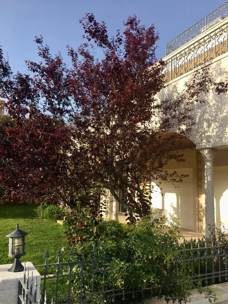 Private Villa in Fatka, Keserwan with Sea and Mountain View