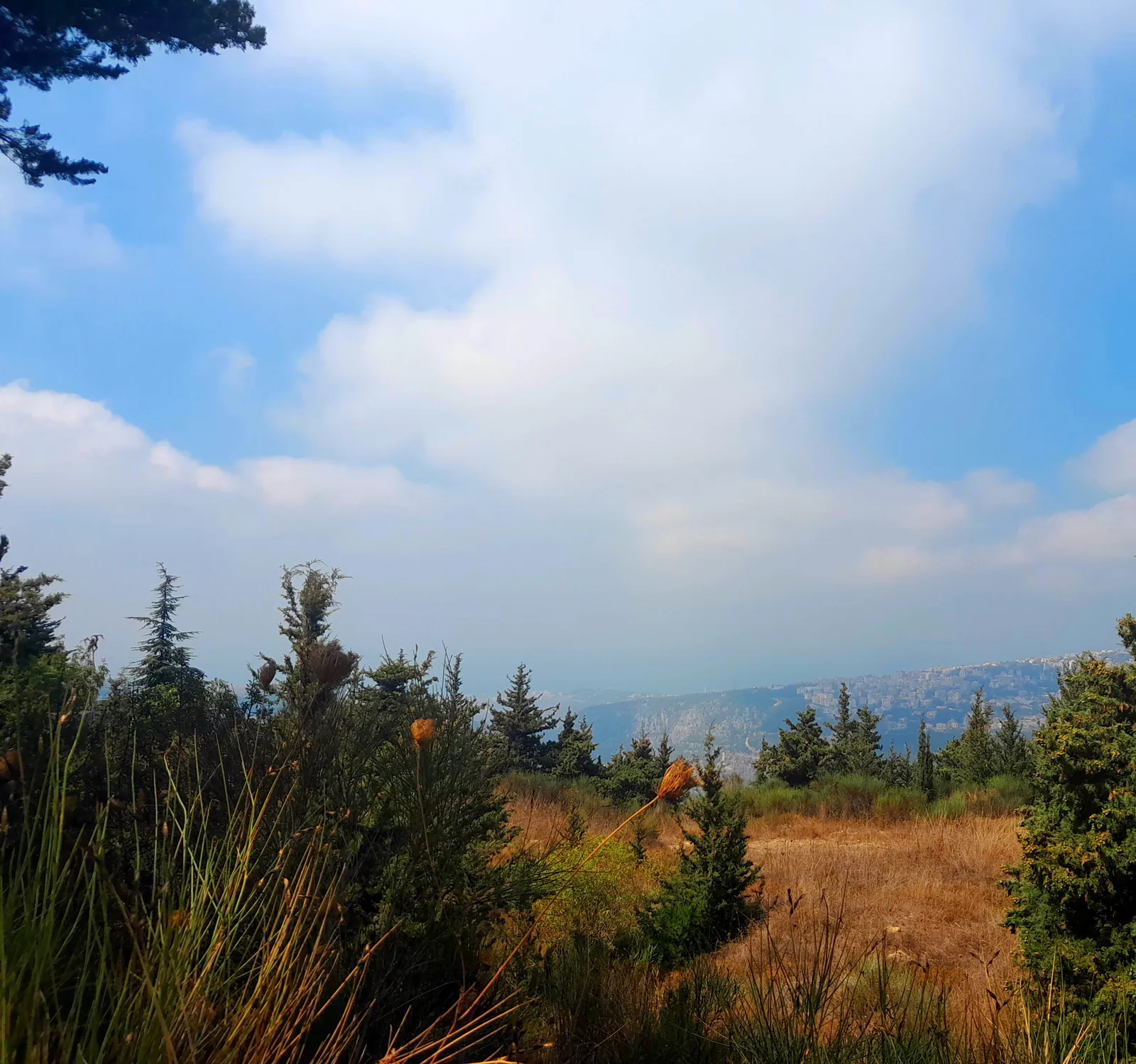 Land in Chouaiyya, Metn Overlooking the Ocean and the Mountains — الصورة 1
