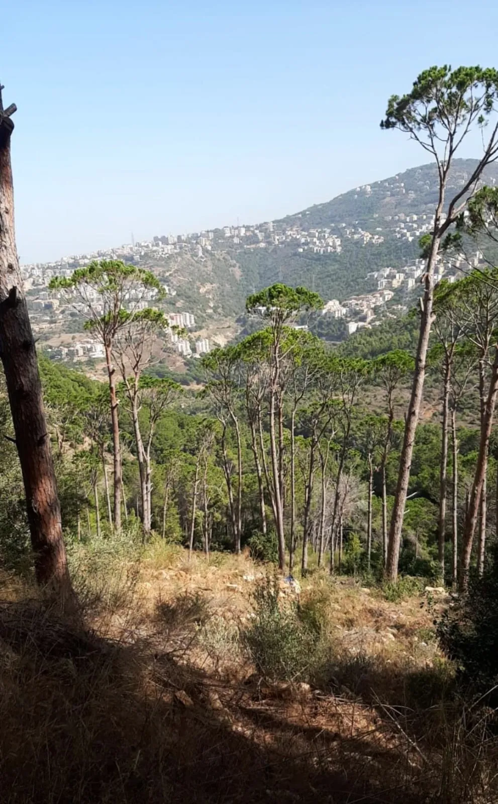 Prime Location Land in Jamhour, Baabda