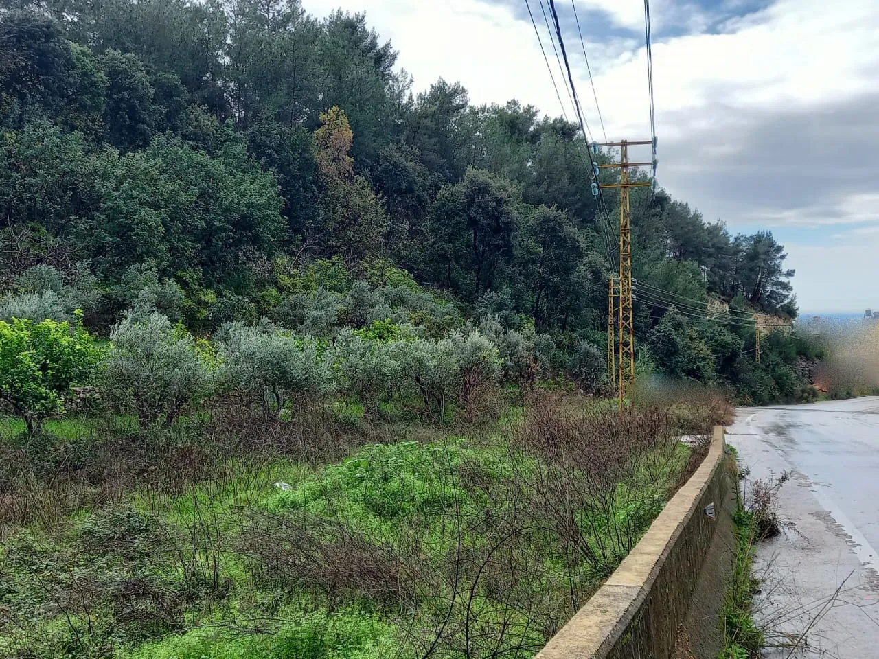 Industrial Land for Sale in Hbalin, Jbeil — photo 2