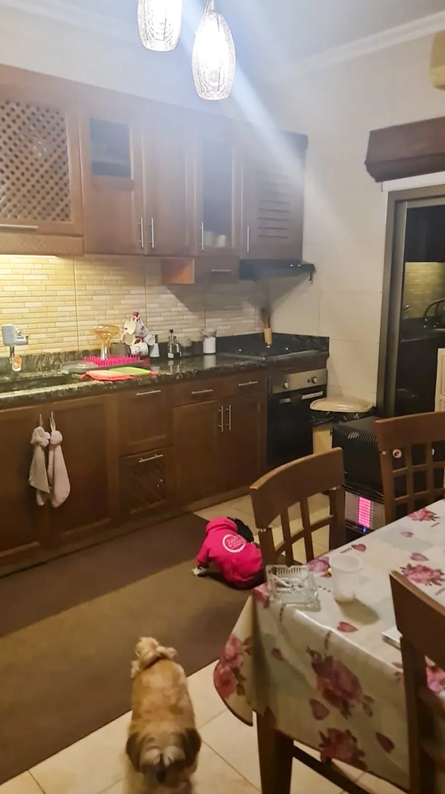 Three Bedroom Apartment in Dbayeh, Metn with Terrace — الصورة 4