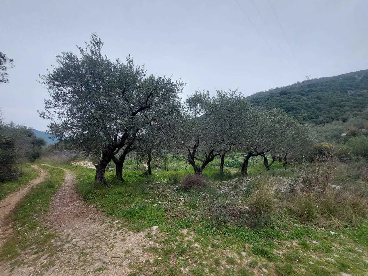 Land in Ain Kfa, Jbeil with Sea and Mountain View — photo 2