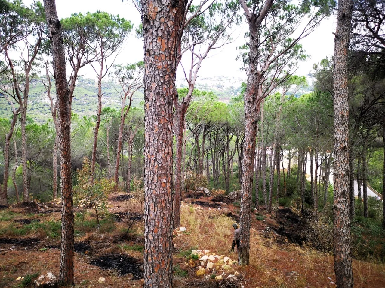 Prime Location Land in Zandouka, Metn — photo 2